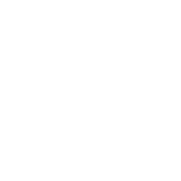 light-international-logo-2