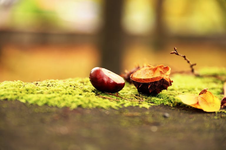 De 4 seizoenen in webshop fulfilment